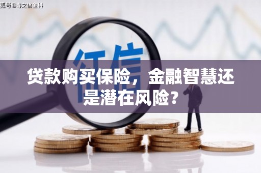 麟洛贷款购买保险，金融智慧还是潜在风险？