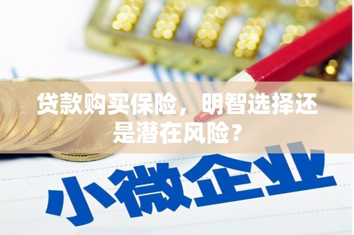麟洛贷款购买保险，明智选择还是潜在风险？