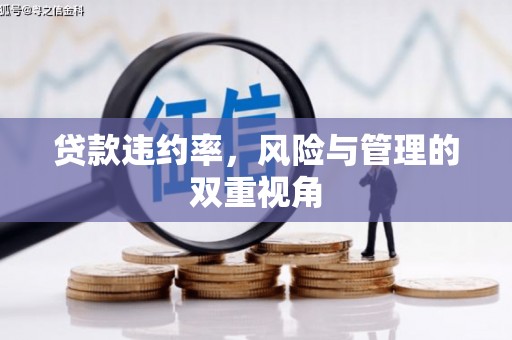 麟洛贷款违约率，风险与管理的双重视角