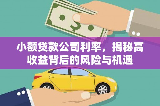 麟洛小额贷款公司利率，揭秘高收益背后的风险与机遇