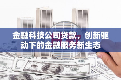 麟洛金融科技公司贷款，创新驱动下的金融服务新生态
