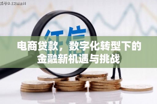 麟洛电商贷款，数字化转型下的金融新机遇与挑战