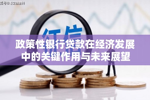 麟洛政策性银行贷款在经济发展中的关键作用与未来展望