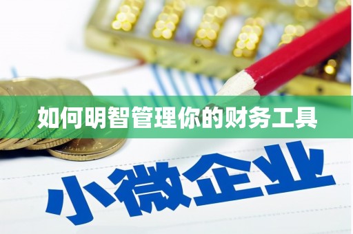 麟洛如何明智管理你的财务工具