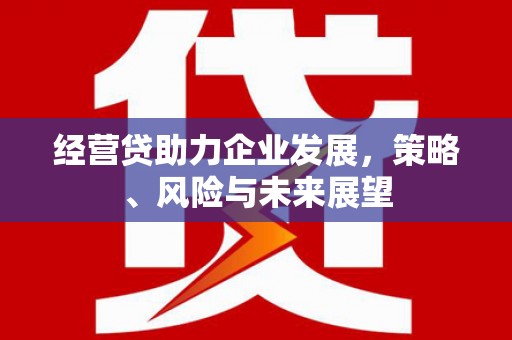 麟洛经营贷助力企业发展，策略、风险与未来展望