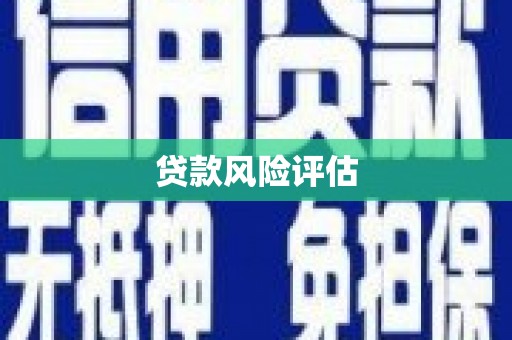 麟洛贷款风险评估