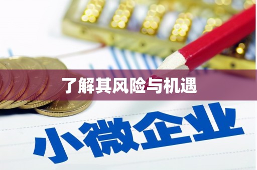 麟洛了解其风险与机遇
