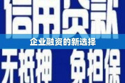 麟洛企业融资的新选择