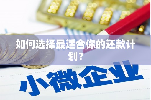 麟洛如何选择最适合你的还款计划？