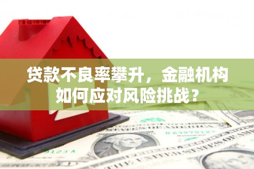 麟洛贷款不良率攀升，金融机构如何应对风险挑战？