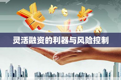 麟洛灵活融资的利器与风险控制