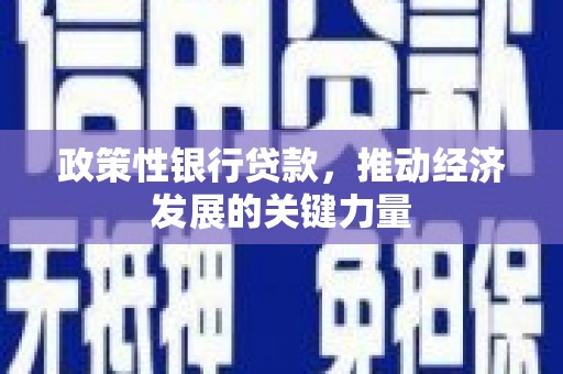 麟洛政策性银行贷款，推动经济发展的关键力量
