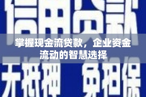 麟洛掌握现金流贷款，企业资金流动的智慧选择