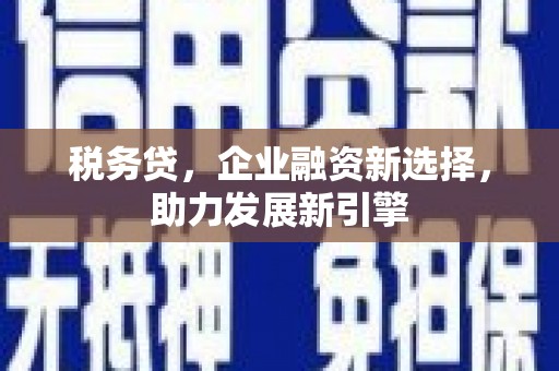 麟洛税务贷，企业融资新选择，助力发展新引擎