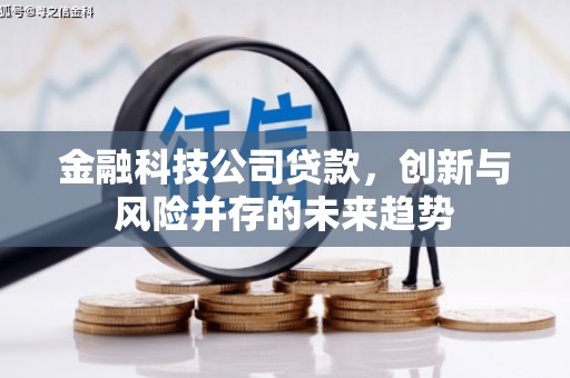 麟洛金融科技公司贷款，创新与风险并存的未来趋势