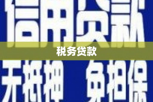 麟洛税务贷款