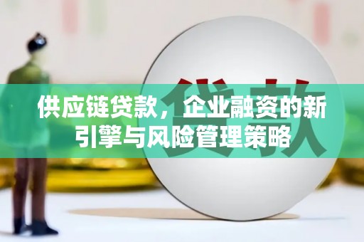 麟洛供应链贷款，企业融资的新引擎与风险管理策略