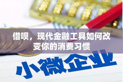 麟洛借呗，现代金融工具如何改变你的消费习惯