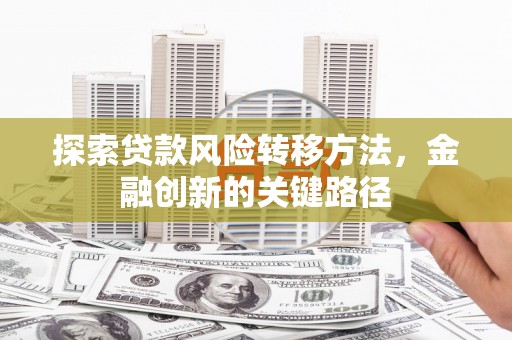 麟洛探索贷款风险转移方法，金融创新的关键路径