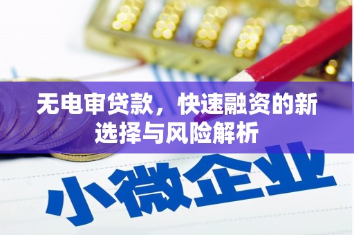 麟洛无电审贷款，快速融资的新选择与风险解析