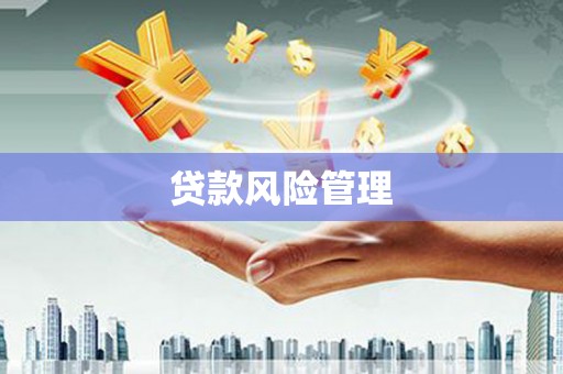 麟洛贷款风险管理