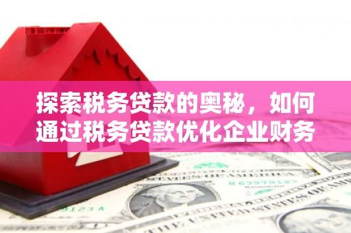 麟洛探索税务贷款的奥秘，如何通过税务贷款优化企业财务