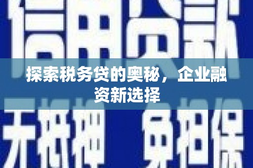 麟洛探索税务贷的奥秘，企业融资新选择