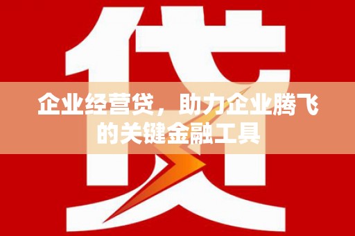 麟洛企业经营贷，助力企业腾飞的关键金融工具