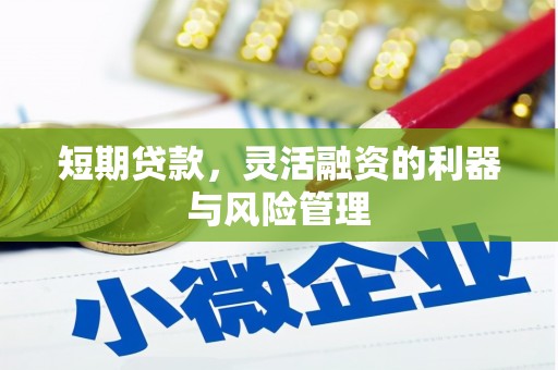 麟洛短期贷款，灵活融资的利器与风险管理