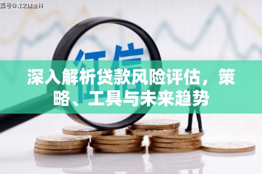 麟洛深入解析贷款风险评估，策略、工具与未来趋势