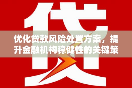 麟洛优化贷款风险处置方案，提升金融机构稳健性的关键策略