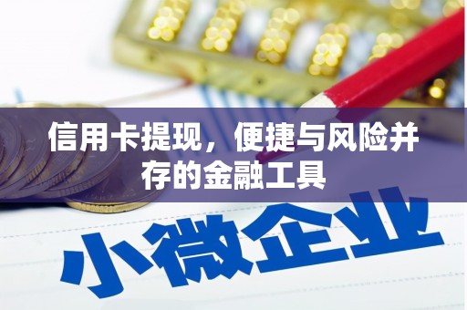 麟洛信用卡提现，便捷与风险并存的金融工具