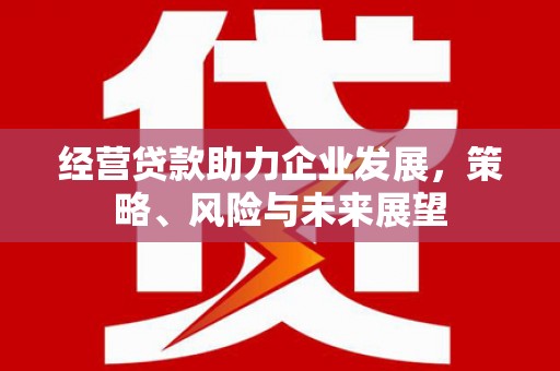 麟洛经营贷款助力企业发展，策略、风险与未来展望