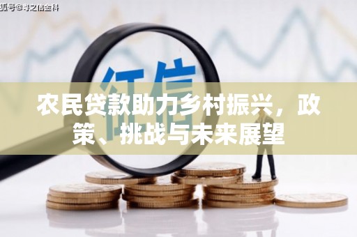 麟洛农民贷款助力乡村振兴，政策、挑战与未来展望