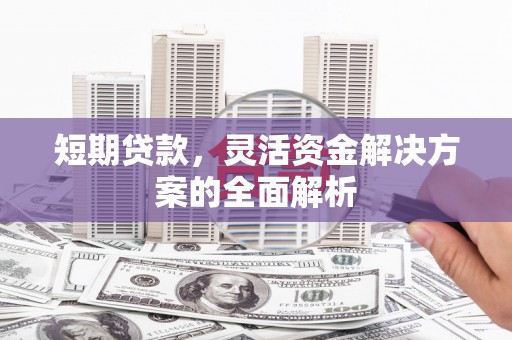 麟洛短期贷款，灵活资金解决方案的全面解析