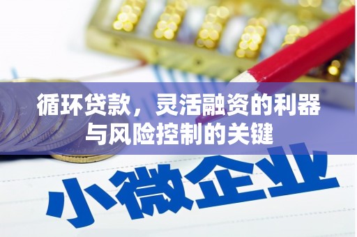 麟洛循环贷款，灵活融资的利器与风险控制的关键