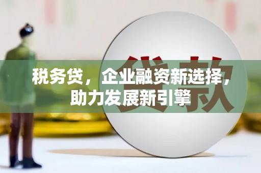 麟洛税务贷，企业融资新选择，助力发展新引擎