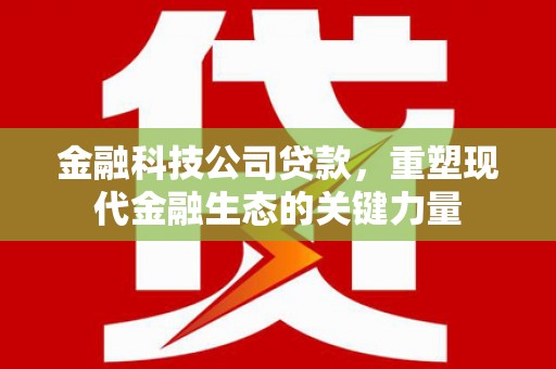 麟洛金融科技公司贷款，重塑现代金融生态的关键力量