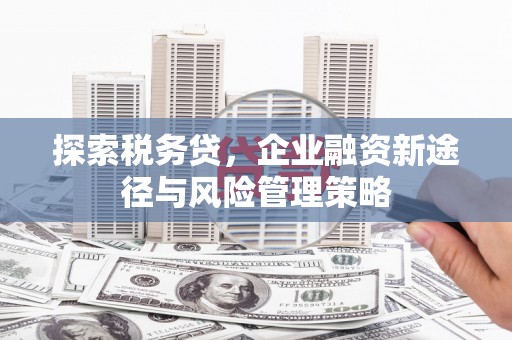 麟洛探索税务贷，企业融资新途径与风险管理策略