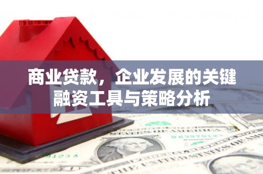 麟洛商业贷款，企业发展的关键融资工具与策略分析
