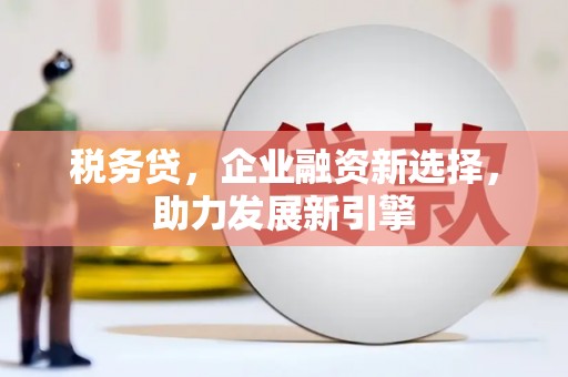 麟洛税务贷，企业融资新选择，助力发展新引擎