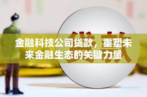 麟洛金融科技公司贷款，重塑未来金融生态的关键力量