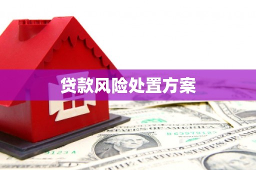 麟洛贷款风险处置方案