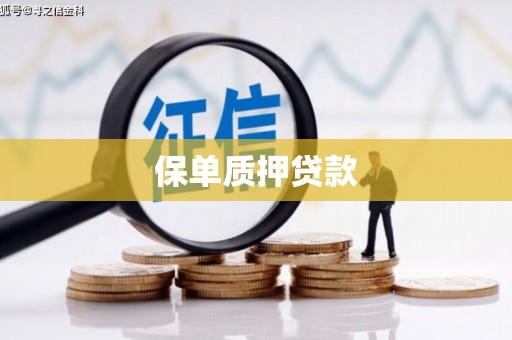 麟洛保单质押贷款
