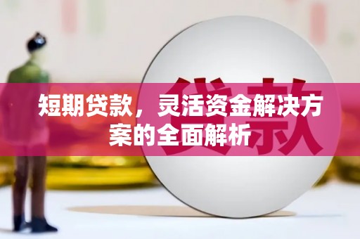 麟洛短期贷款，灵活资金解决方案的全面解析