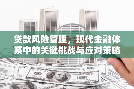 麟洛贷款风险管理，现代金融体系中的关键挑战与应对策略