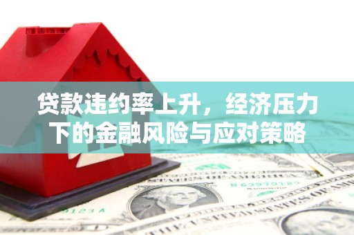麟洛贷款违约率上升，经济压力下的金融风险与应对策略