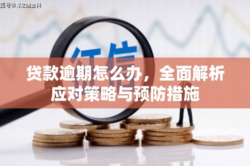 麟洛贷款逾期怎么办，全面解析应对策略与预防措施