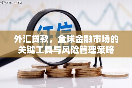 麟洛外汇贷款，全球金融市场的关键工具与风险管理策略