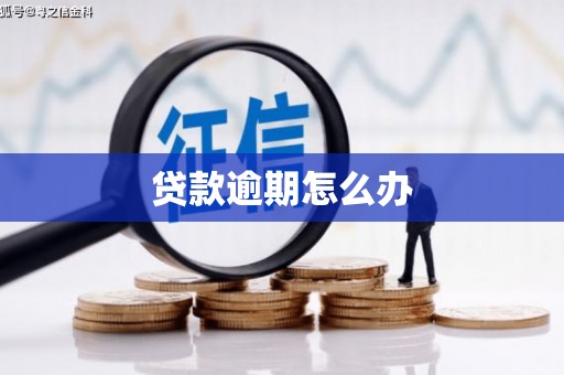 麟洛贷款逾期怎么办